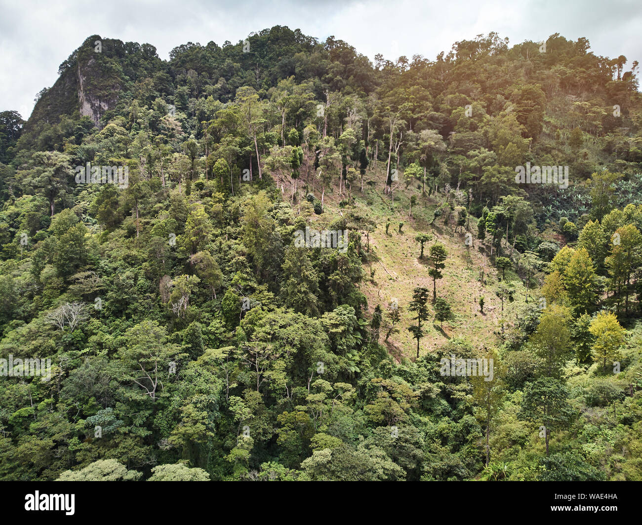 Picco di montagna con bold spot da alberi sulla giornata di sole Foto Stock