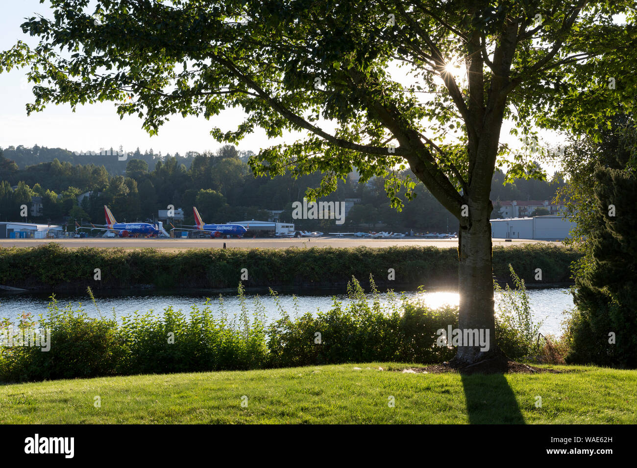 Tre a terra 737 MAX aeroplani per la Southwest Airlines parcheggiato a Renton Campo di Renton, Washington il 19 agosto 2019. Foto Stock
