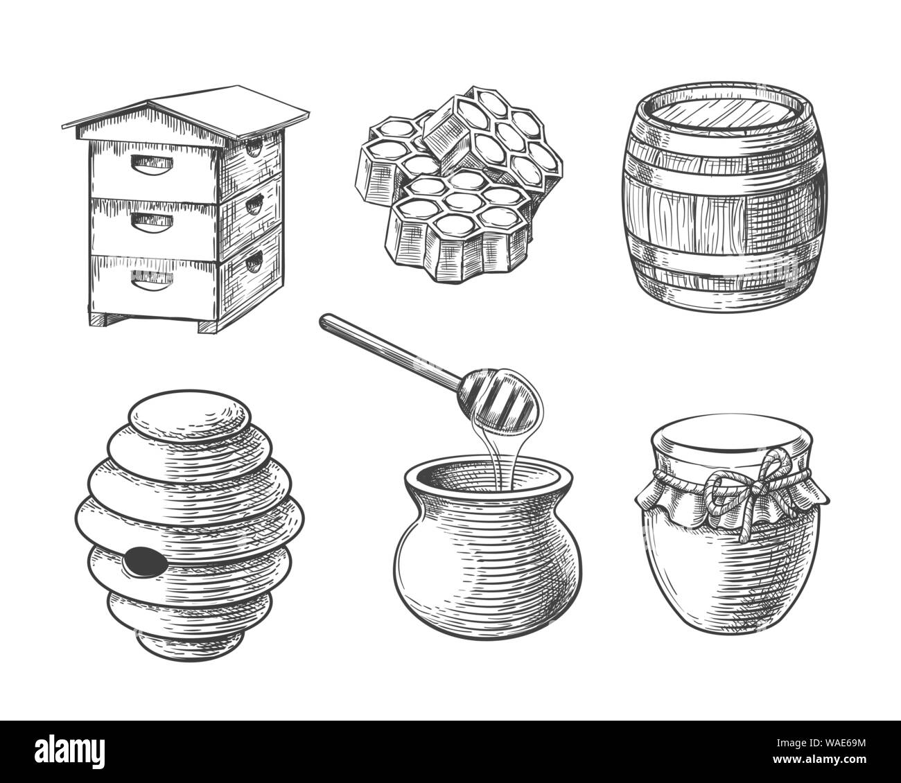 Schizzo di miele gli elementi del vettore. Disegnato a mano i dolci a nido d'ape e jar, vintage canna per la cera d'api e honeypot, alveari per uso domestico e per api selvatiche in ita Illustrazione Vettoriale