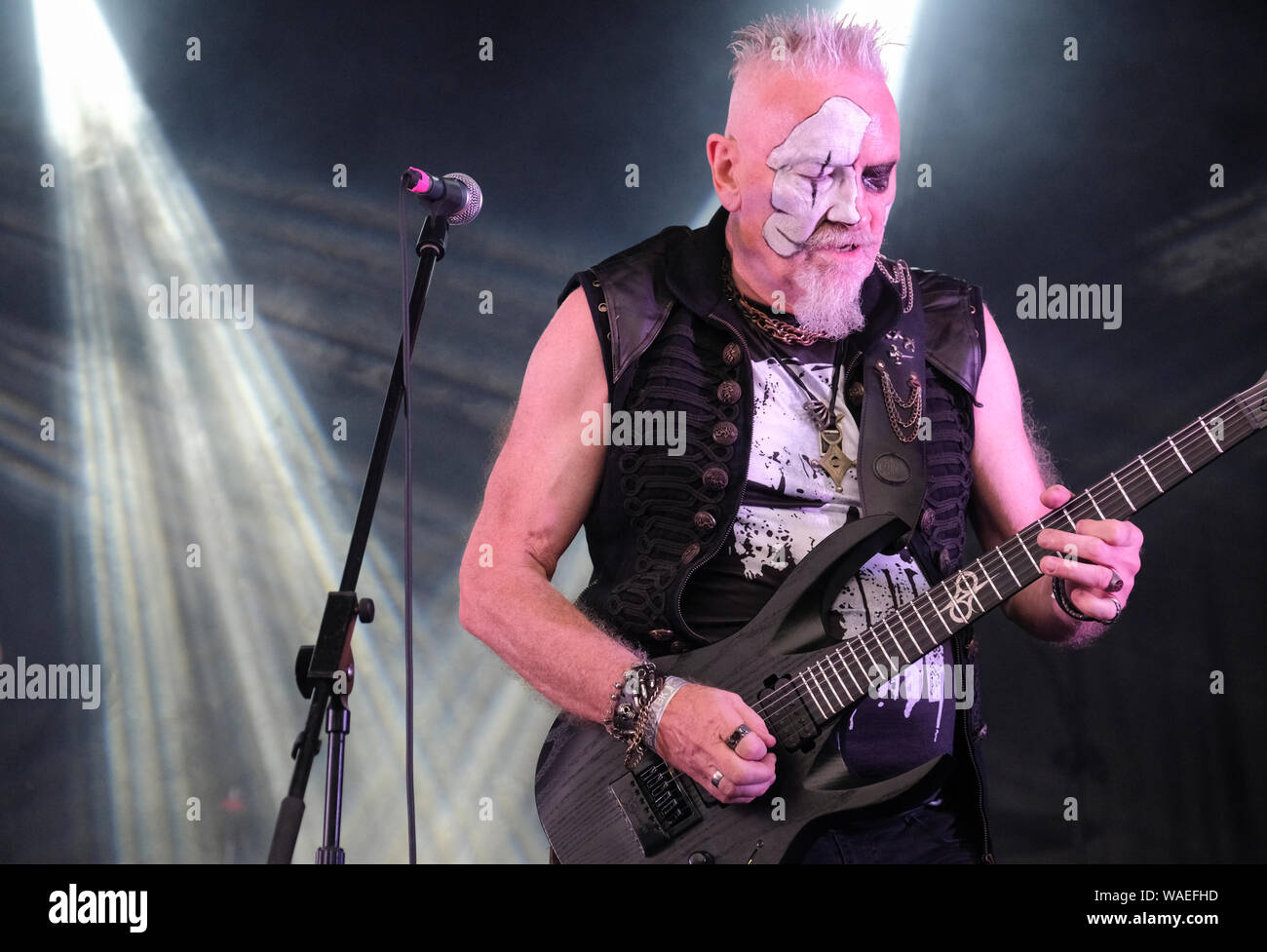 Zal Cleminson di Zal Cleminson peccato di cani in esecuzione al Weyfest music festival, Tilford, Surrey, Regno Unito. Agosto 17, 2019 Foto Stock