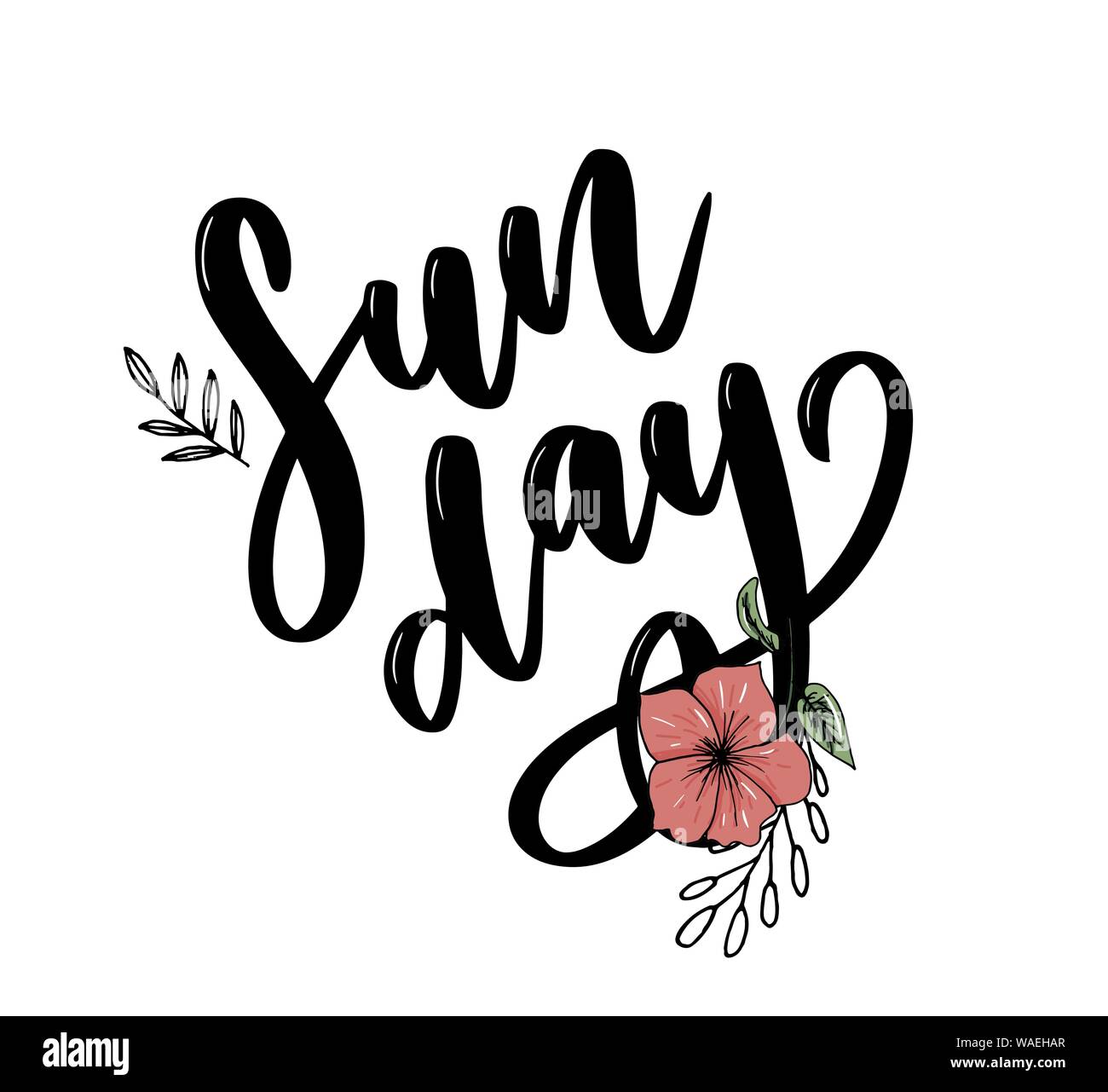 Domenica - Vettore disegnati a mano scritte frase. Moderna calligrafia spazzola per i blog Illustrazione Vettoriale