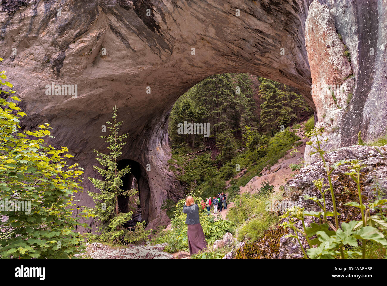Fenomeno naturale Chudnite mostove;montagne Rodopi;la Bulgaria; Foto Stock