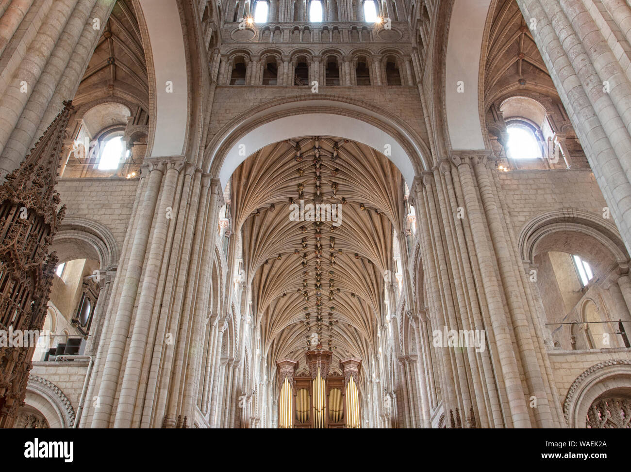 L'interno e la sede del vescovo di Norwich Cathedral Foto Stock