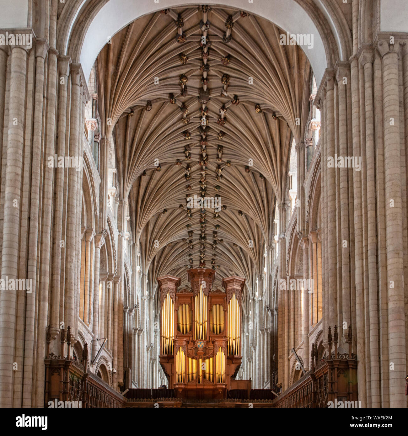 L'interno e la sede del vescovo di Norwich Cathedral Foto Stock