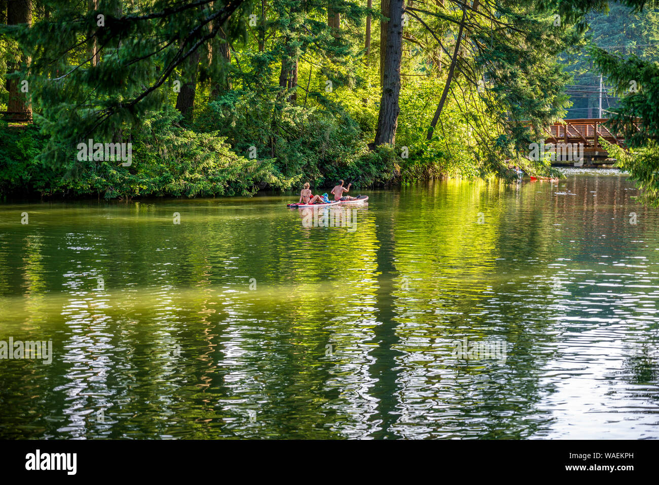 Coppia adorabile sono ride su schede flottante su un pittoresco Lago Lacamas nella foresta e di respirare un'aria salubre per rafforzare l'immunità e stren Foto Stock