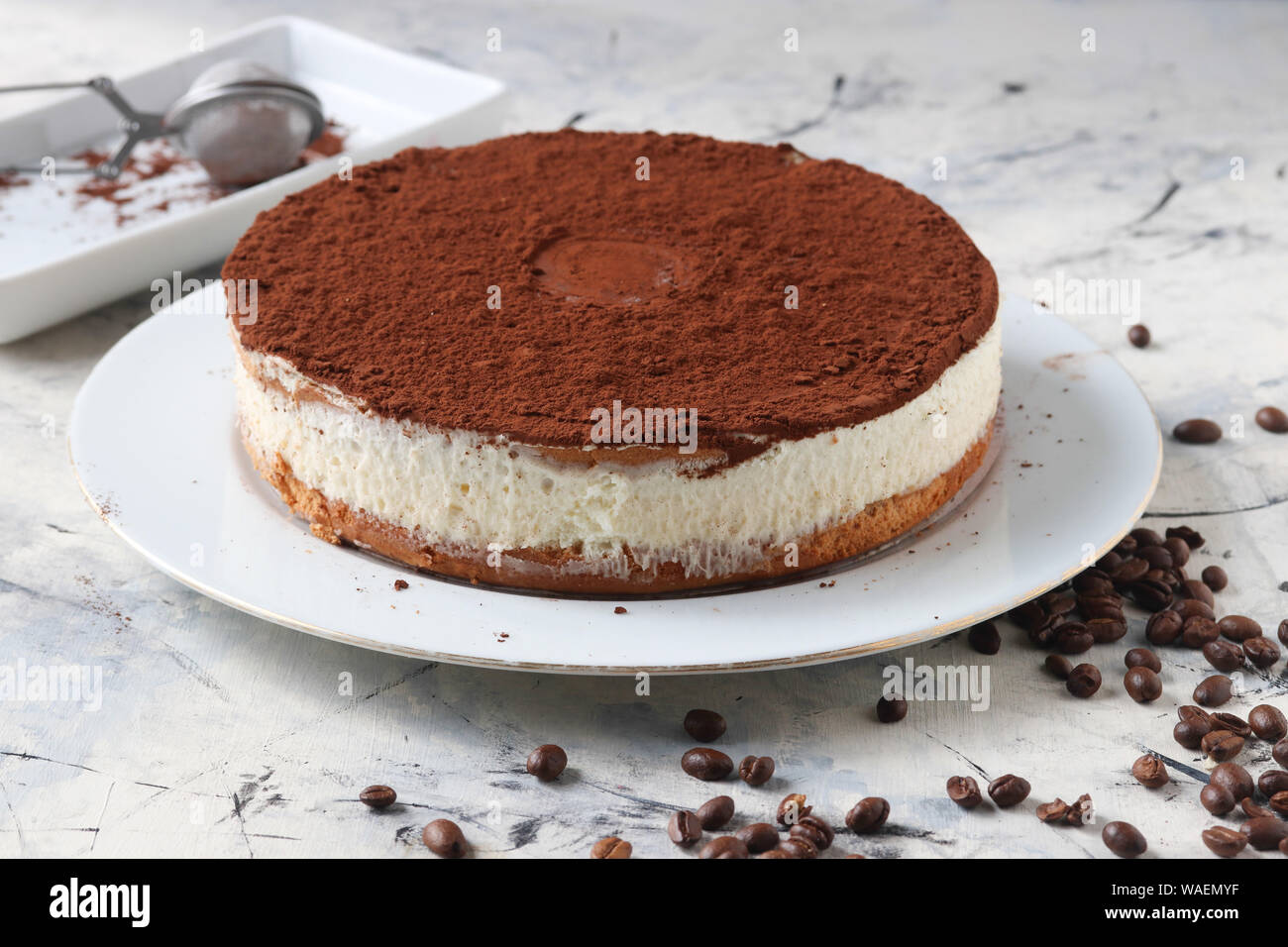 Il tiramisù cheesecake tradizionale dolce italiano Foto Stock