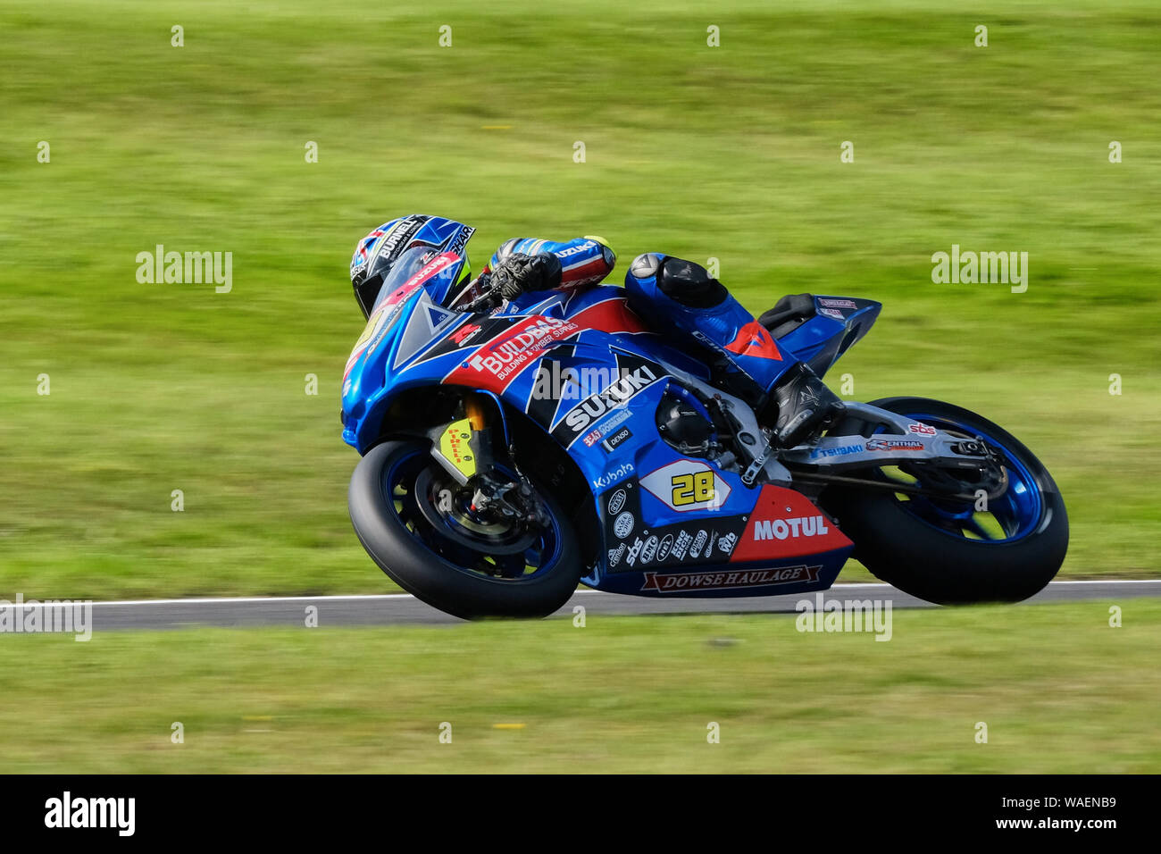 Bradley Ray su Buildbase Suzuki GSX-R 1000 a BSB Cadwell Park 2019 Foto Stock