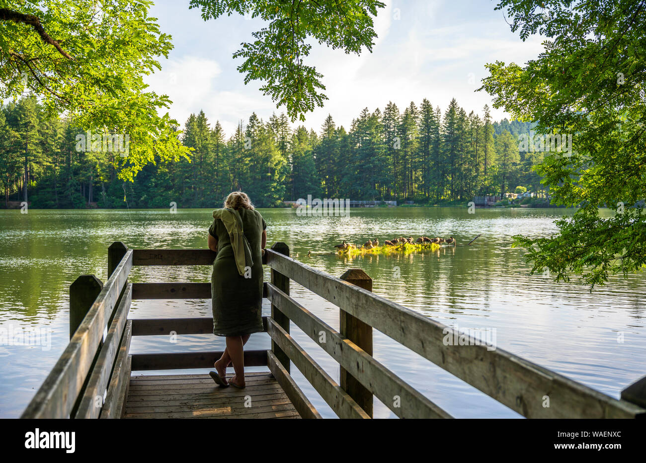 La donna gode di vista lago nella foresta in piedi sul molo in legno e di respirare un'aria salubre per rafforzare l'immunità e rafforzare il corpo Foto Stock