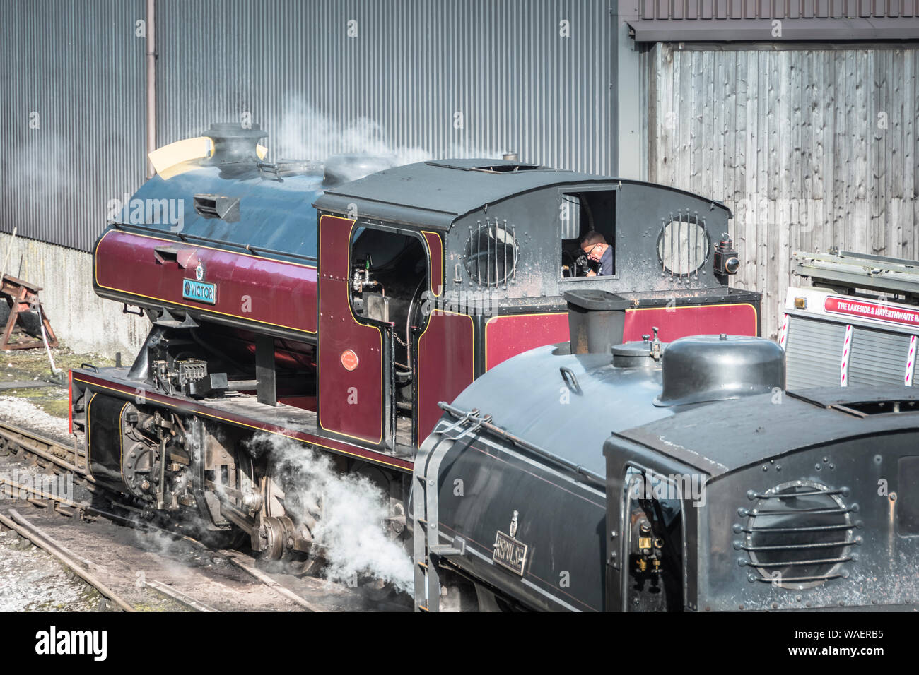 Treni a vapore a Haverthwaite stazione sul lungolago e Patrimonio Haverthwaite Railway vicino a Ulverston, Cumbria, Regno Unito Foto Stock
