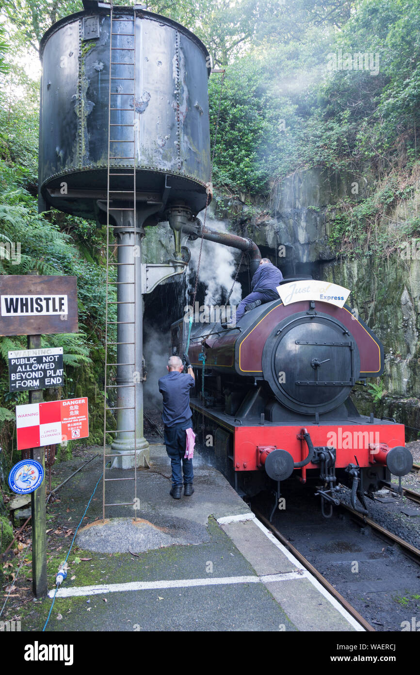 Victor locomotiva a vapore il riempimento con acqua a Haverthwaite stazione sul lungolago e Patrimonio Haverthwaite Railway vicino a Ulverston, Cumbria, Regno Unito Foto Stock