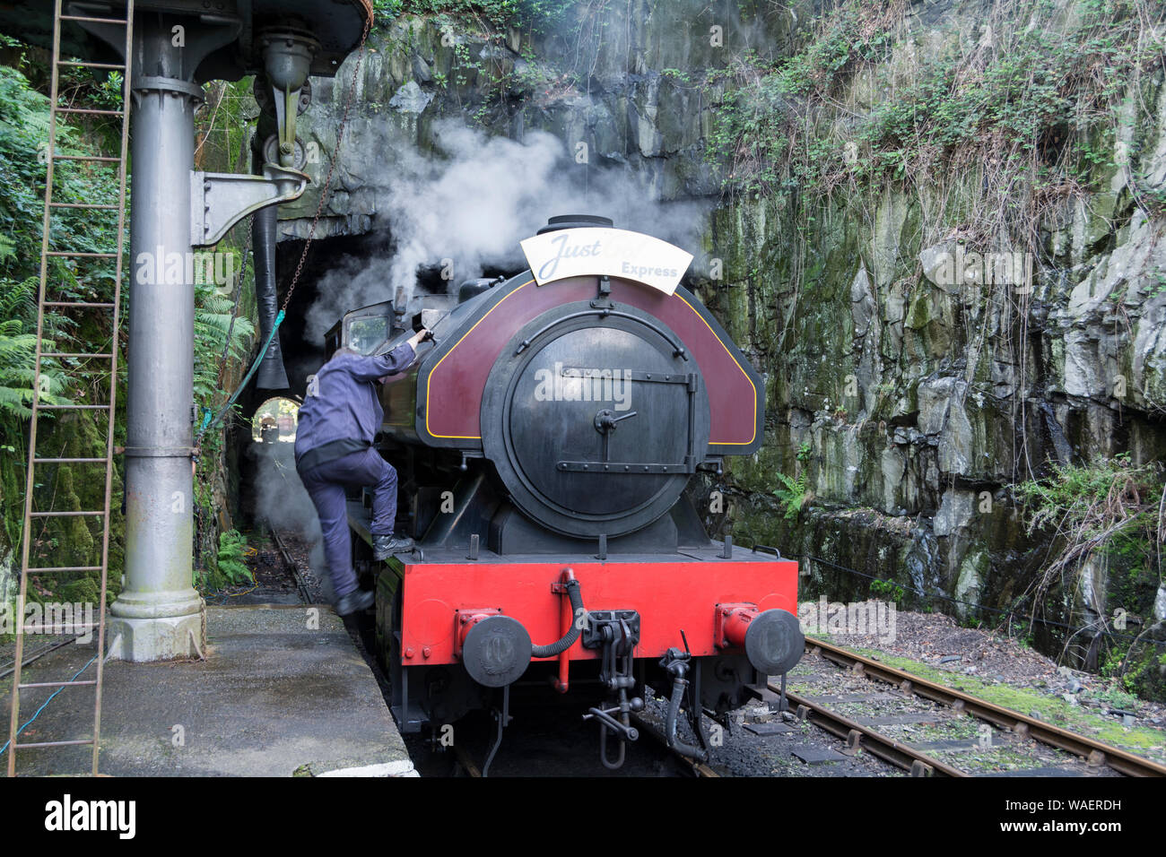 Victor locomotiva a vapore a Haverthwaite stazione sul lungolago e Patrimonio Haverthwaite Railway vicino a Ulverston, Cumbria, Regno Unito Foto Stock