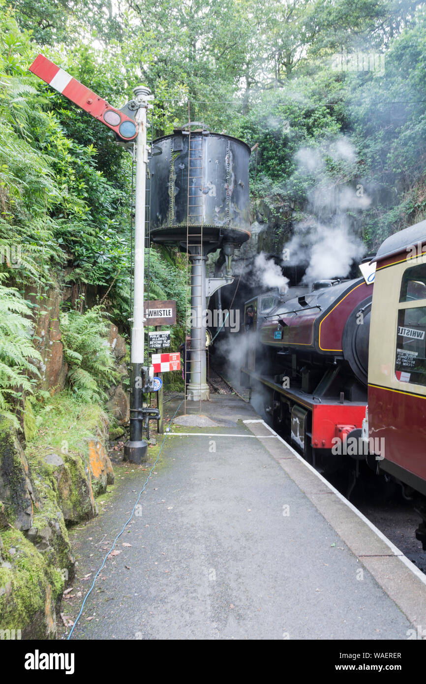 Victor locomotiva a vapore il riempimento con acqua a Haverthwaite stazione sul lungolago e Patrimonio Haverthwaite Railway vicino a Ulverston, Cumbria, Regno Unito Foto Stock