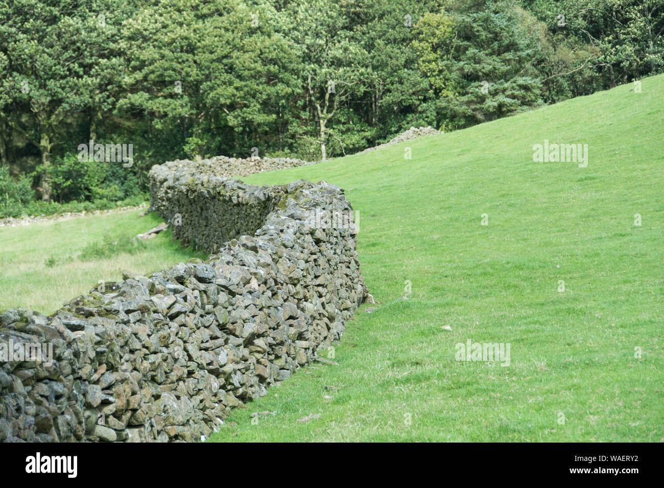 Murature di ardesia e muri in pietra a secco nel distretto del lago, Cumbria, Regno Unito Foto Stock