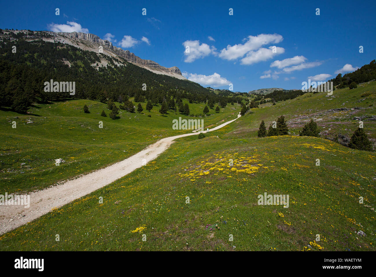 Il sentiero e montagna cresta in testa la Vallee de Combeau Vercors Parco naturale regionale Francia Foto Stock