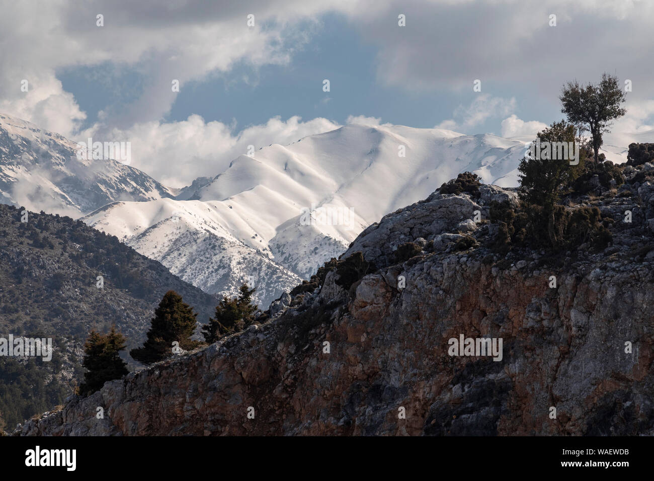 Le montagne bianche intorno alla parte superiore della gola di Samaria, con cipressi mediterranei, Cupressus sempervirens, dopo una molto nevoso inverno, primavera 2019. C Foto Stock