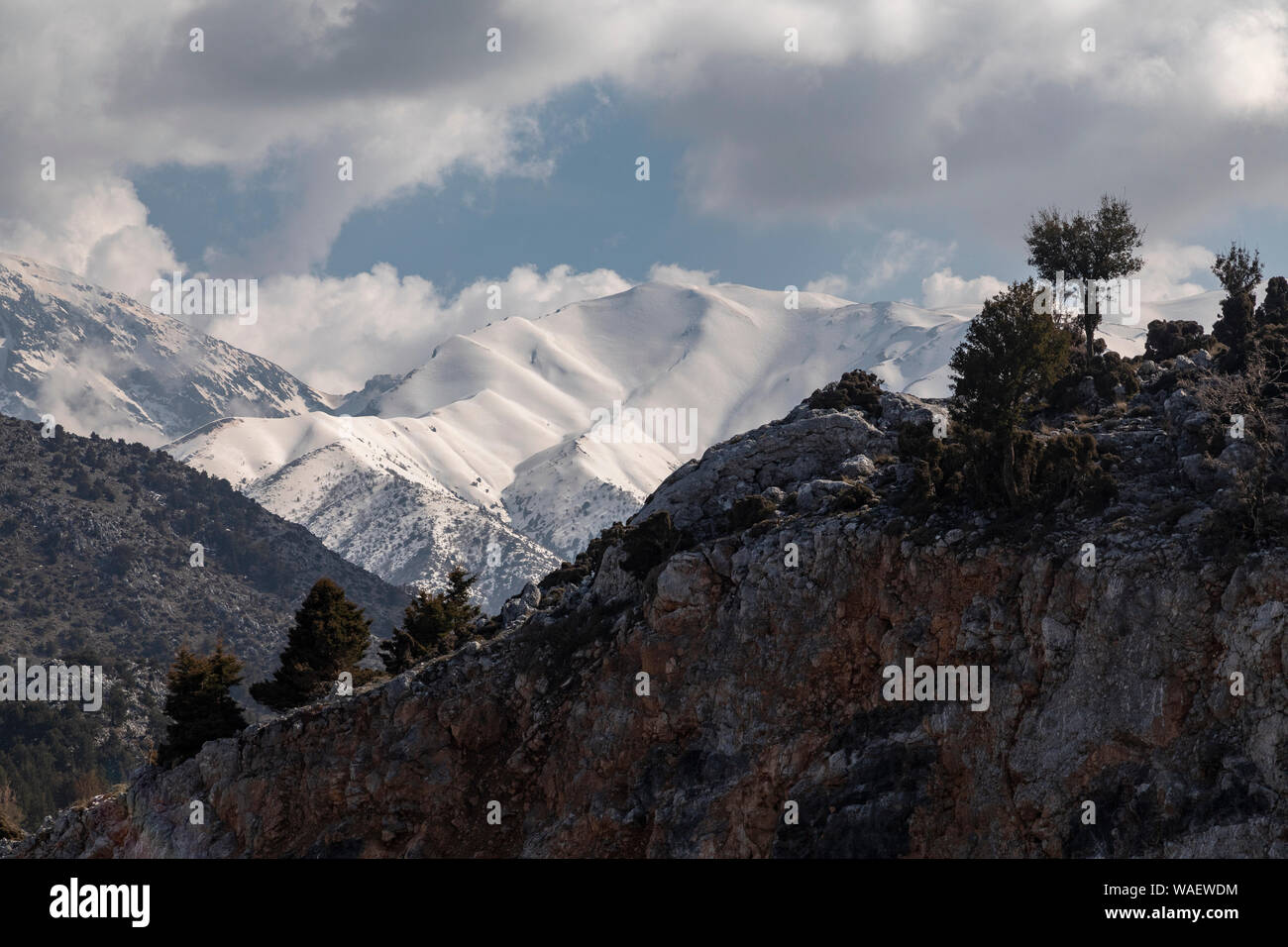 Le montagne bianche intorno alla parte superiore della gola di Samaria, con cipressi mediterranei, Cupressus sempervirens, dopo una molto nevoso inverno, primavera 2019. C Foto Stock
