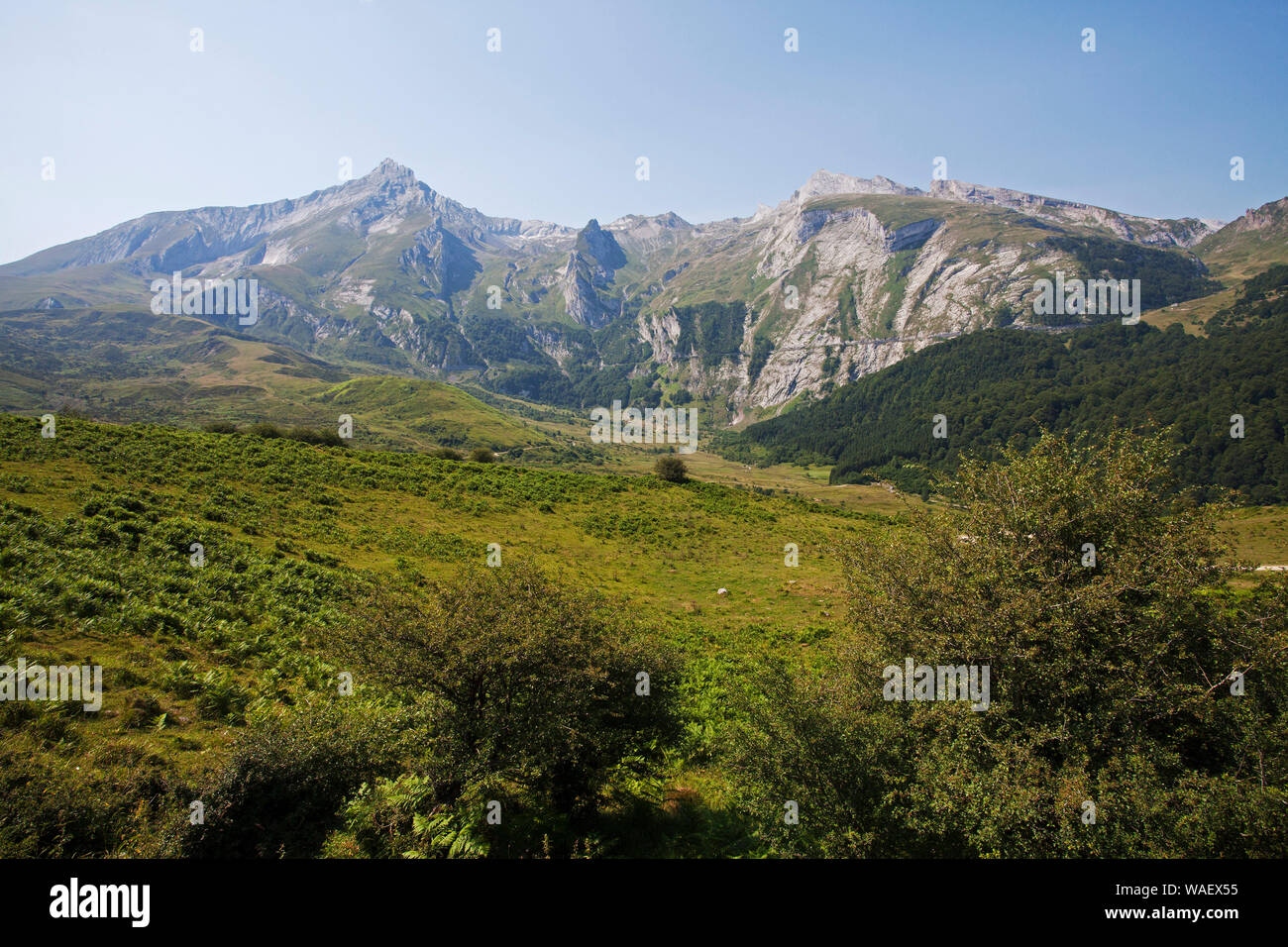 Vista verso il Col du Soulor Parco Nazionale dei Pirenei Francia luglio 2015 Foto Stock