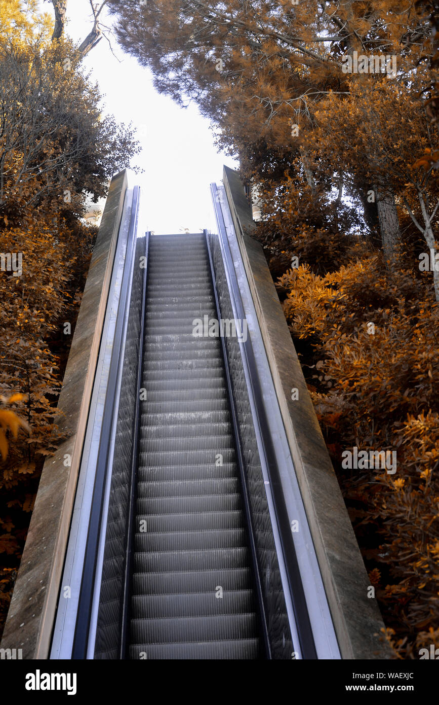 Escalator in natura Foto Stock