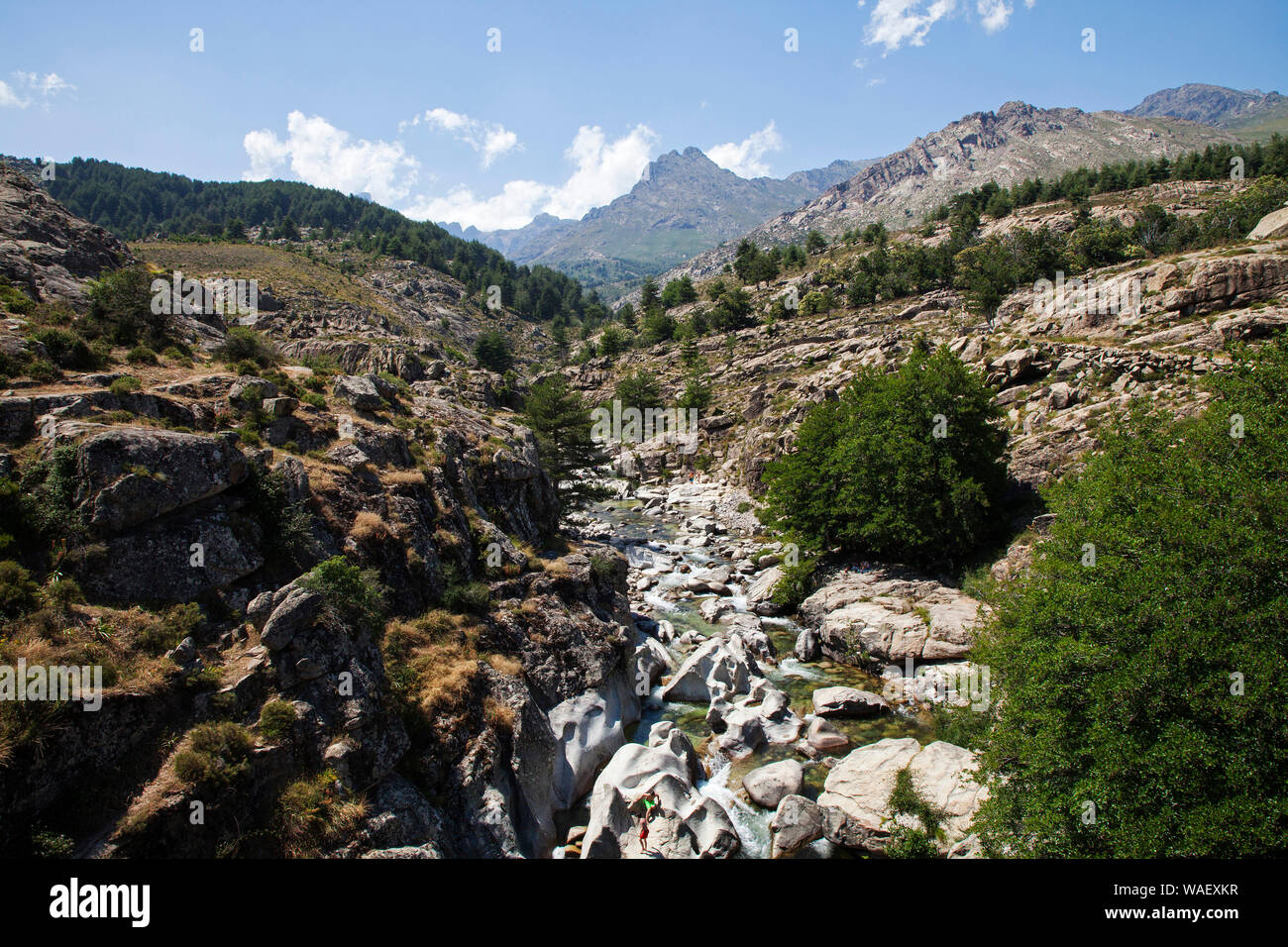 Golo River, Scala di Santa Regina e montagne, il parco naturale regionale di Corsica, Francia, Luglio 2018 Foto Stock