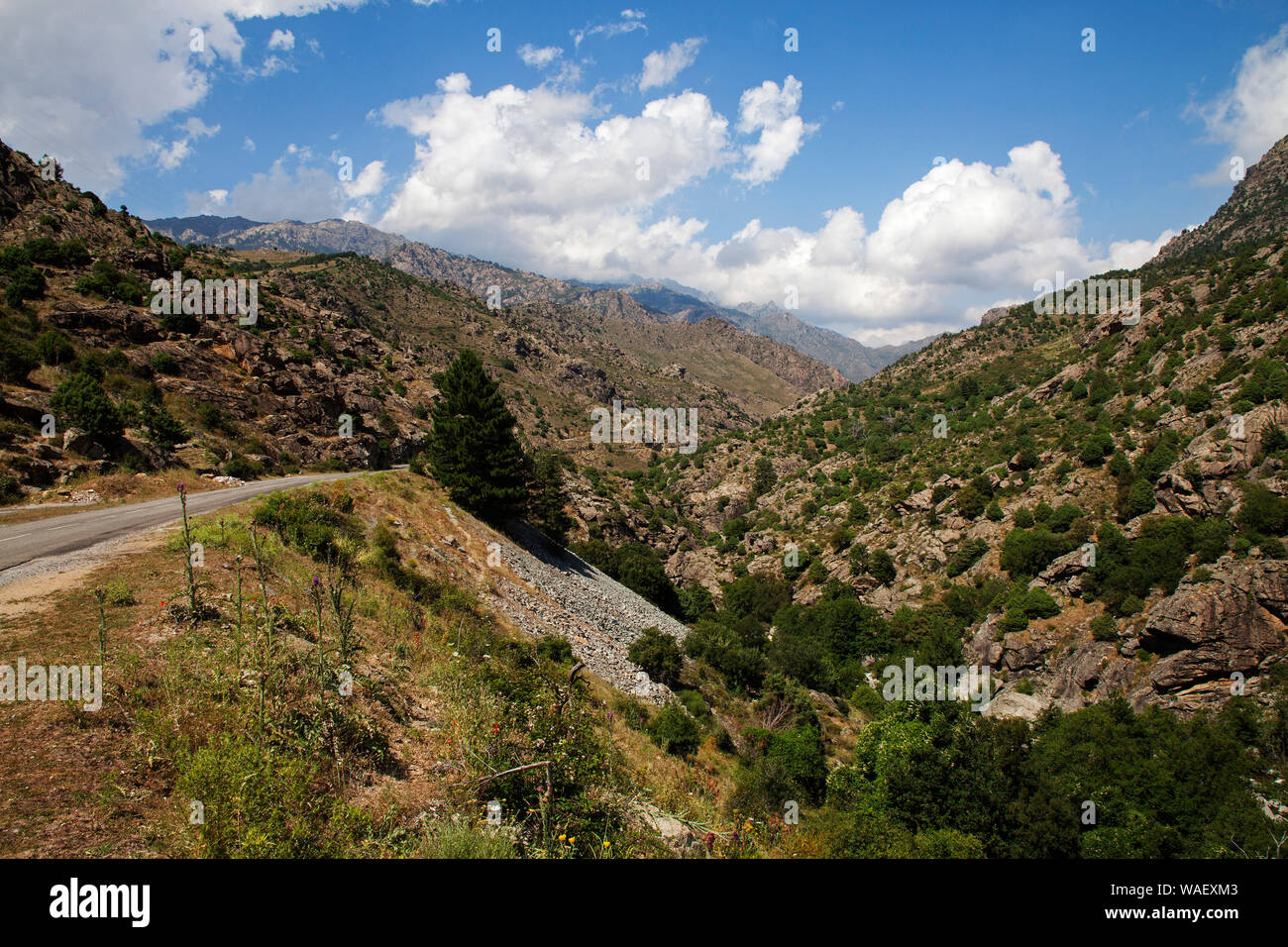 Scala di Santa Regina gorge e montagne, Parco Naturale Regionale della Corsica, Francia, Luglio 2018 Foto Stock