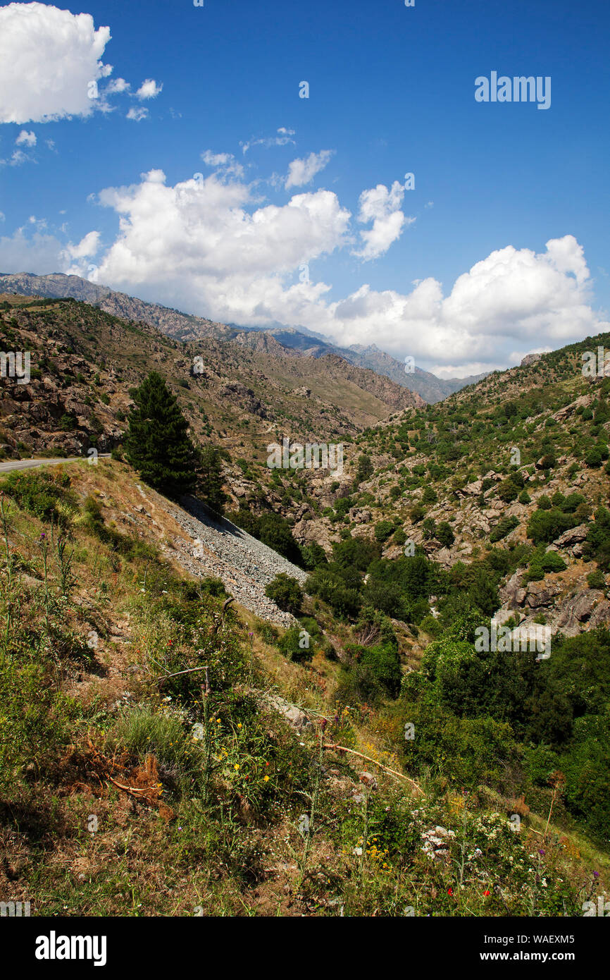 Scala di Santa Regina gorge e montagne, Parco Naturale Regionale della Corsica, Francia, Luglio 2018 Foto Stock