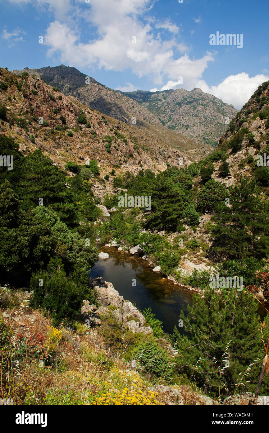 Golo River, Scala di Santa Regina e montagne, il parco naturale regionale di Corsica, Francia, Luglio 2018 Foto Stock