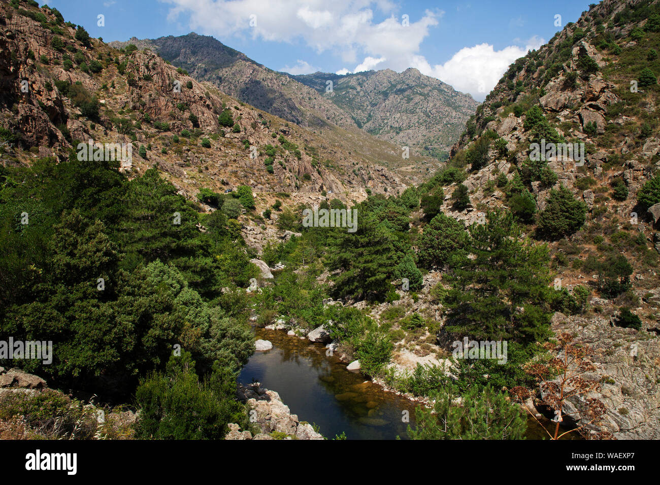 Golo River, Scala di Santa Regina e montagne, il parco naturale regionale di Corsica, Francia, Luglio 2018 Foto Stock