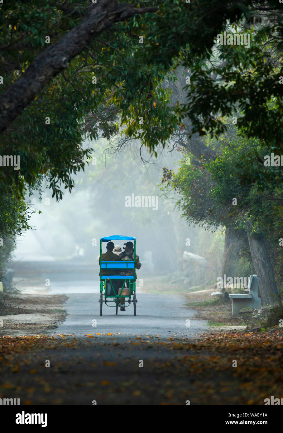 Cycle rickshaw, Bharatpur Rajasthan, India. Foto Stock