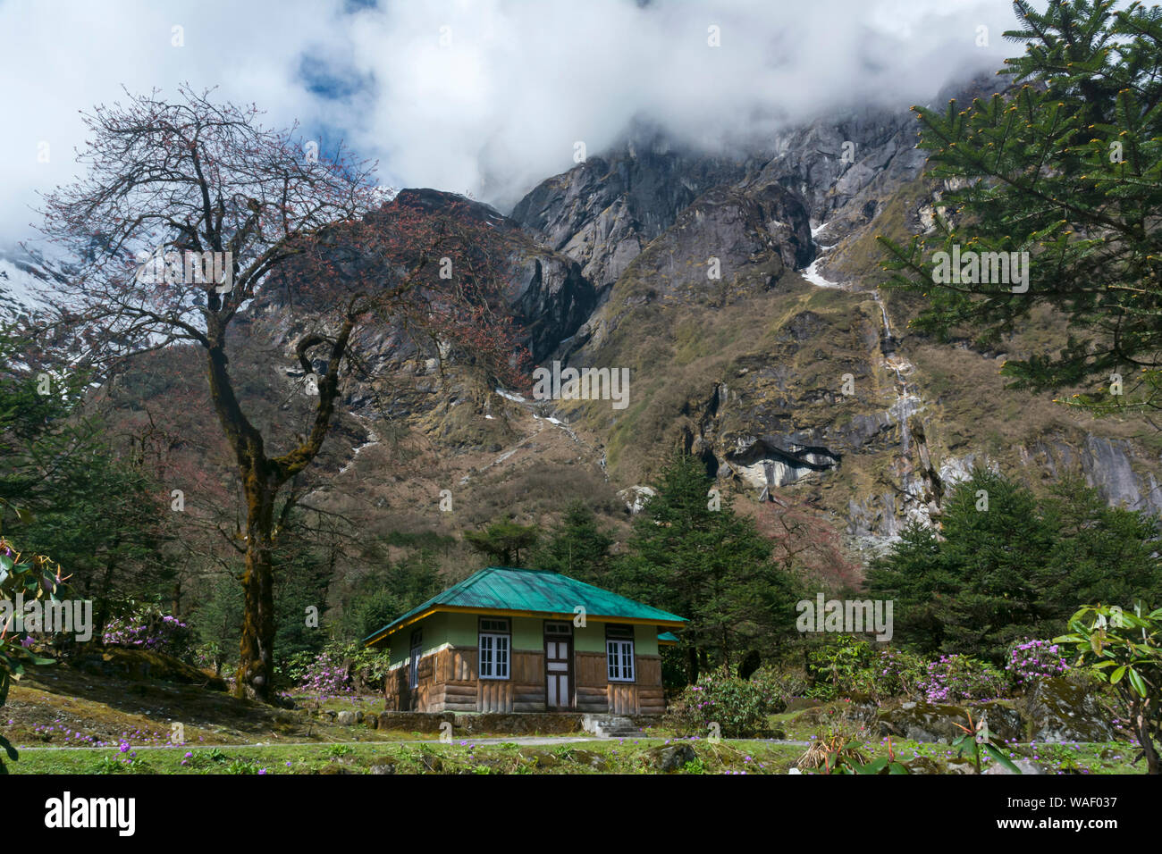 Casa di riposo a valle di Yumthang, Lachung, Sikkim, India. Foto Stock