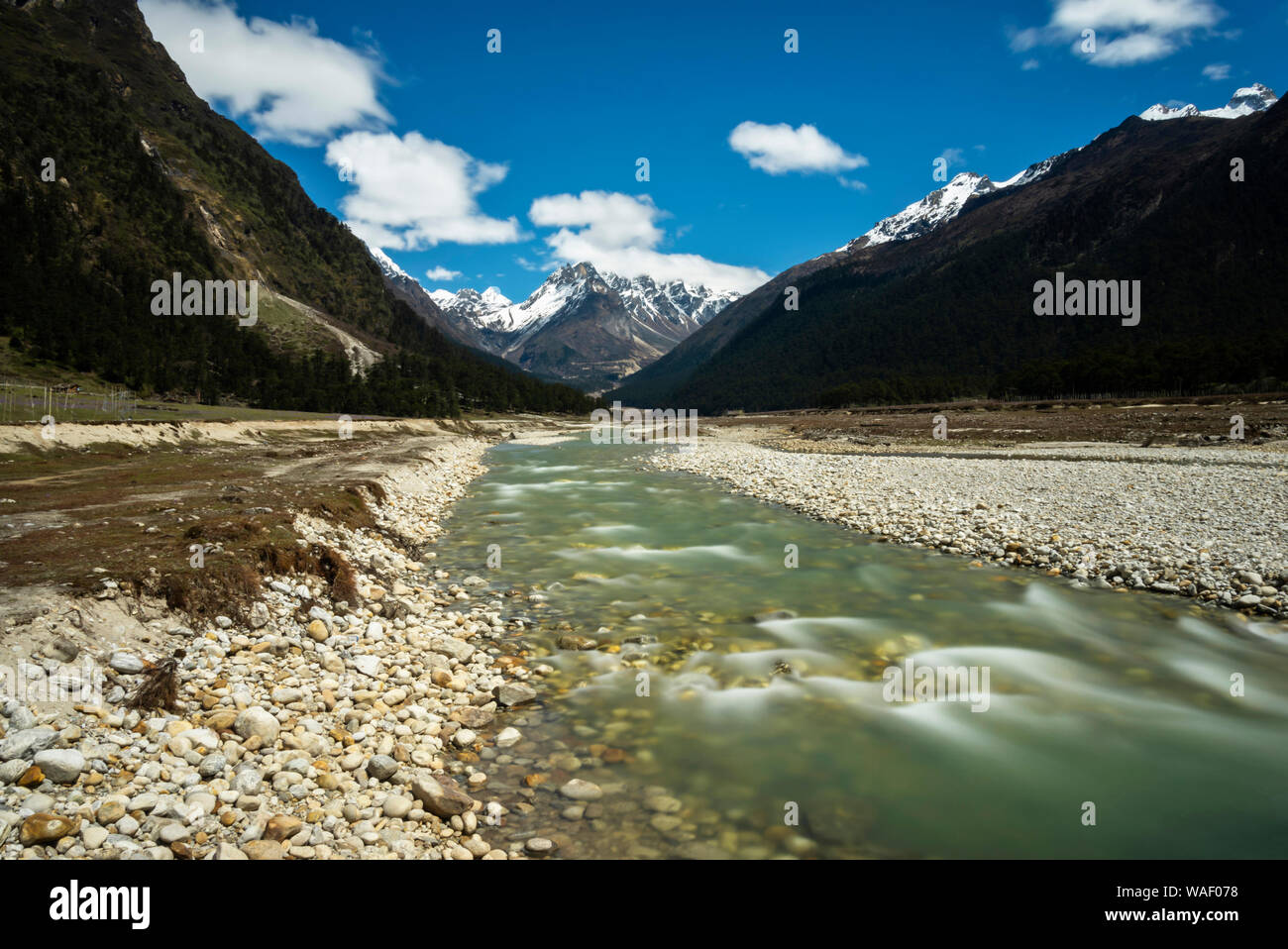 Yumthang a valle di Yumthang a Lachung in Sikkim, India Foto Stock