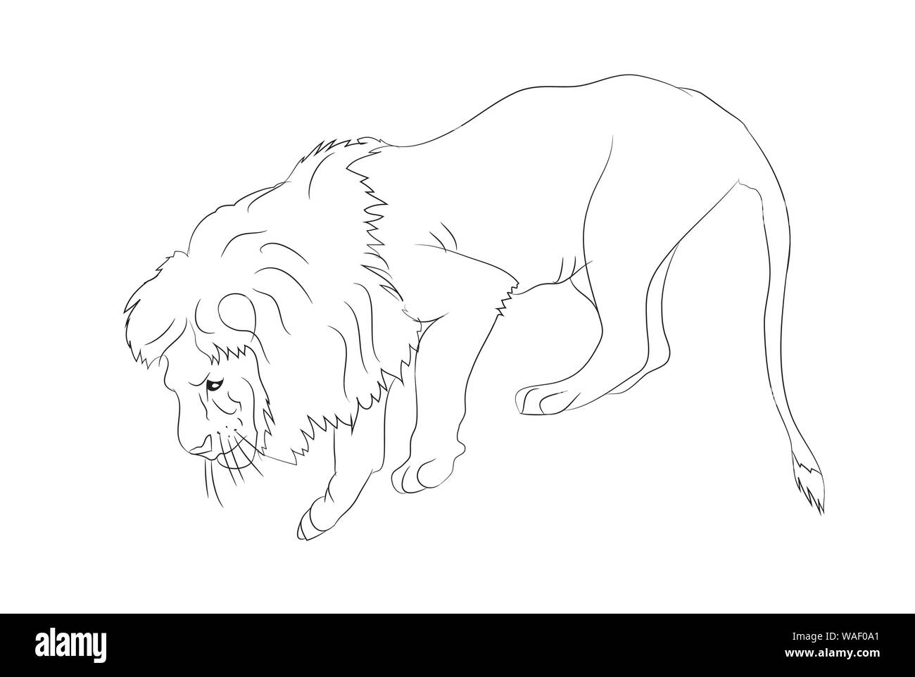 Illustrazione vettoriale di un leone che si erge, vettore, sfondo bianco Illustrazione Vettoriale