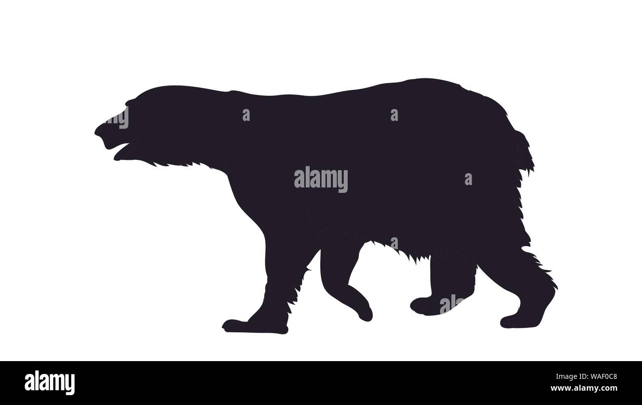 Illustrazione vettoriale di un orso che si distingue, disegno silhouette, vettore, sfondo bianco Illustrazione Vettoriale