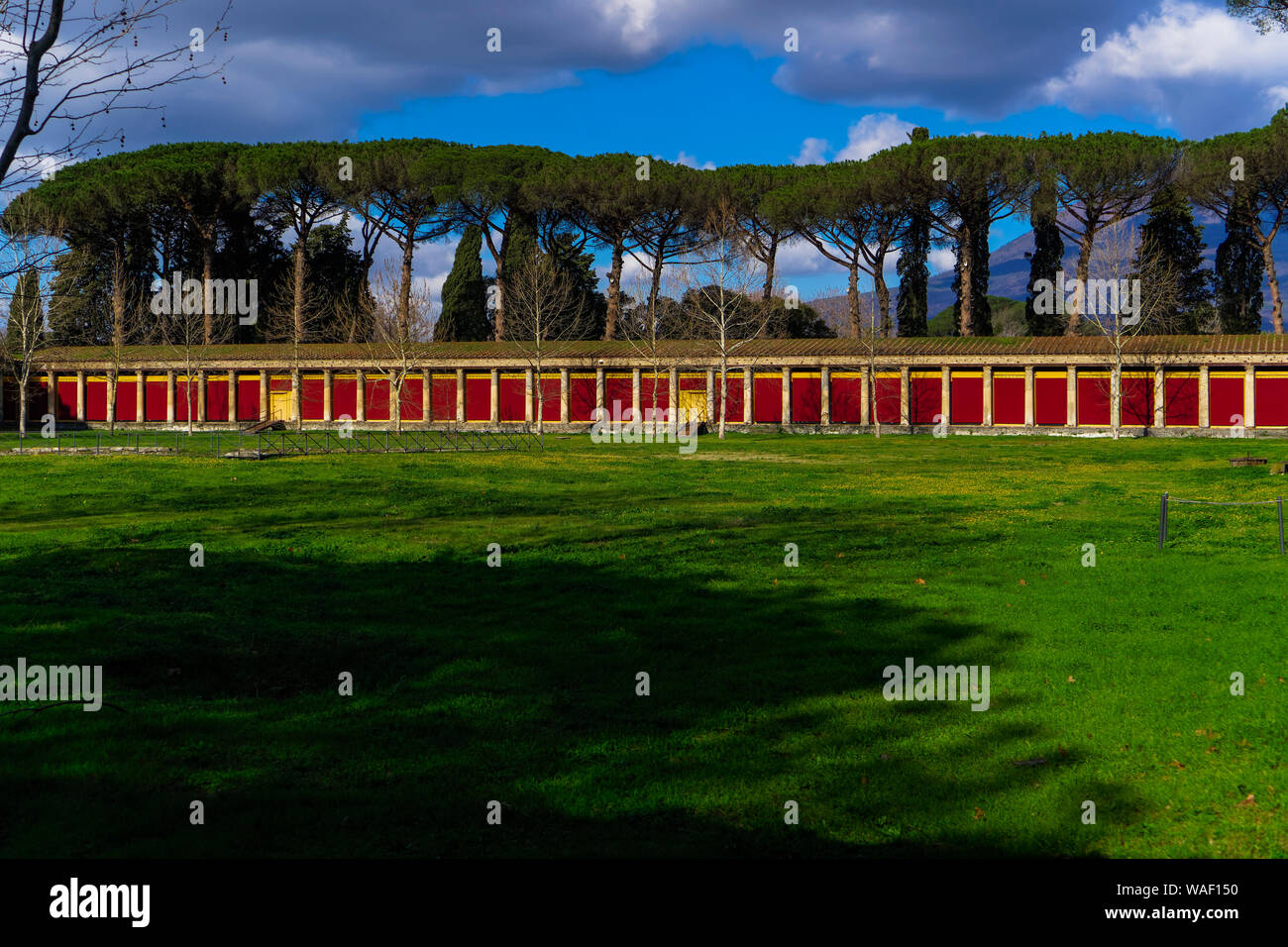 Pompei, Italia Palestra grande cortile. Grande spazio centrale per esercizi ginnici, Palestra di palestra, con un portico di colonne ioniche. Foto Stock