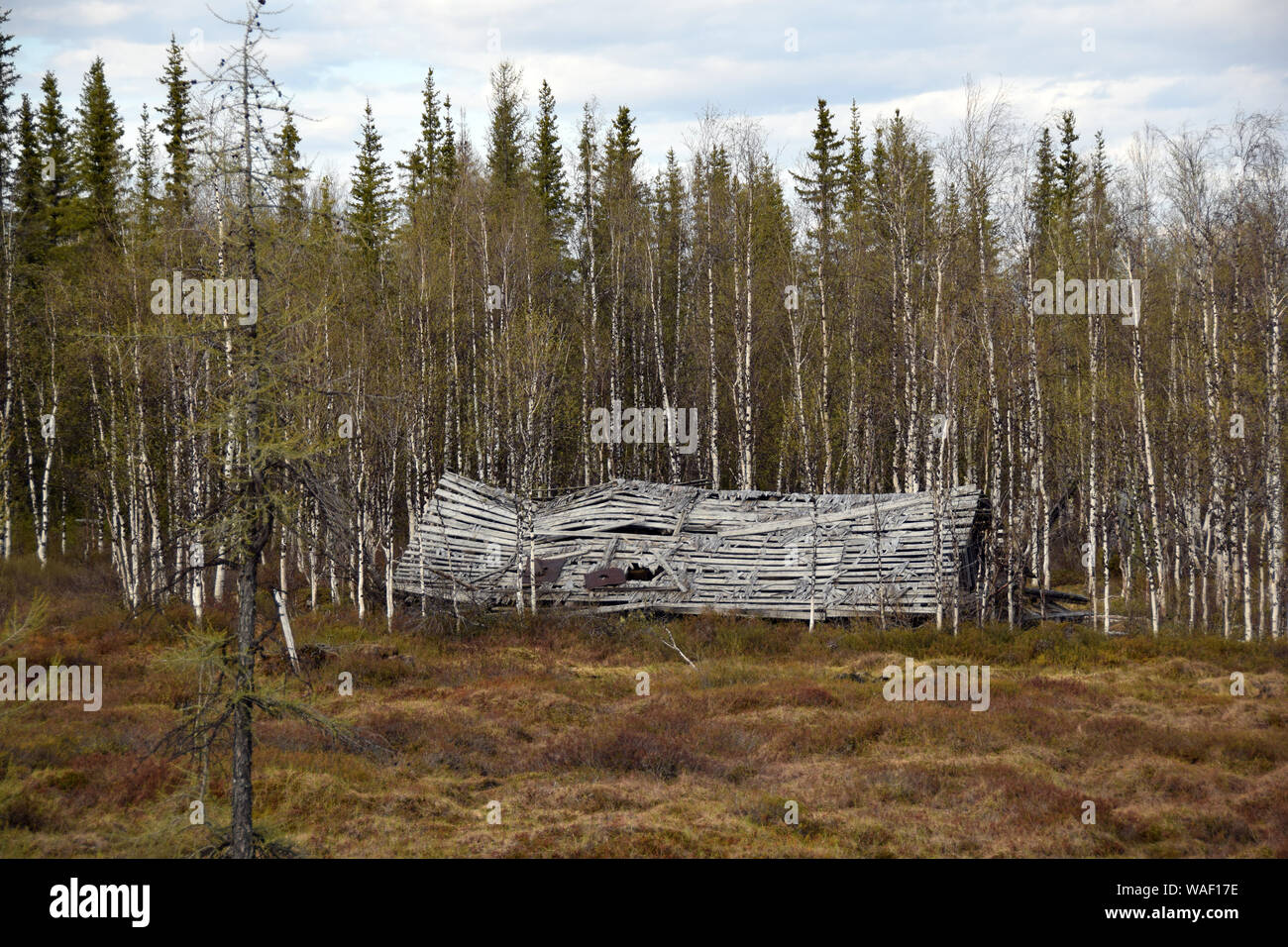 Cabina in legno per prisonners in un accampamento di gulag lungo il ''Dead railway''. I resti del 'Dead" la strada costruita dagli operai schiavi del sistema di Gulag tra il 1949 e il 1953. Questa linea ferroviaria collega la città di Salekhard e Nadym nella Yamalo-Nenets Regione autonoma. È stato un quasi tecnicamente impossibile progetto iniziato da Stalin e arrestato dalle autorità sovietiche immediatamente dopo la morte del dittatore. Foto Stock