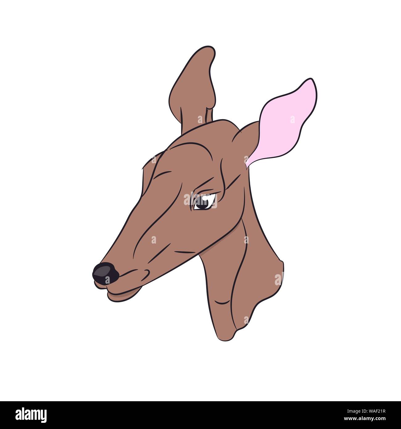 Il Cervo femmina di colore, vettore, sfondo bianco Illustrazione Vettoriale