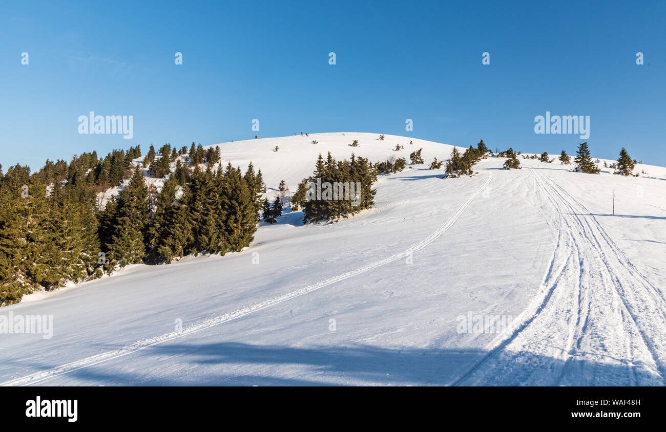Veterne hill sul foro di Martinske in Lucanska Mala Fatra montagne in Slovacchia durante l inverno mattina con cielo chiaro Foto Stock