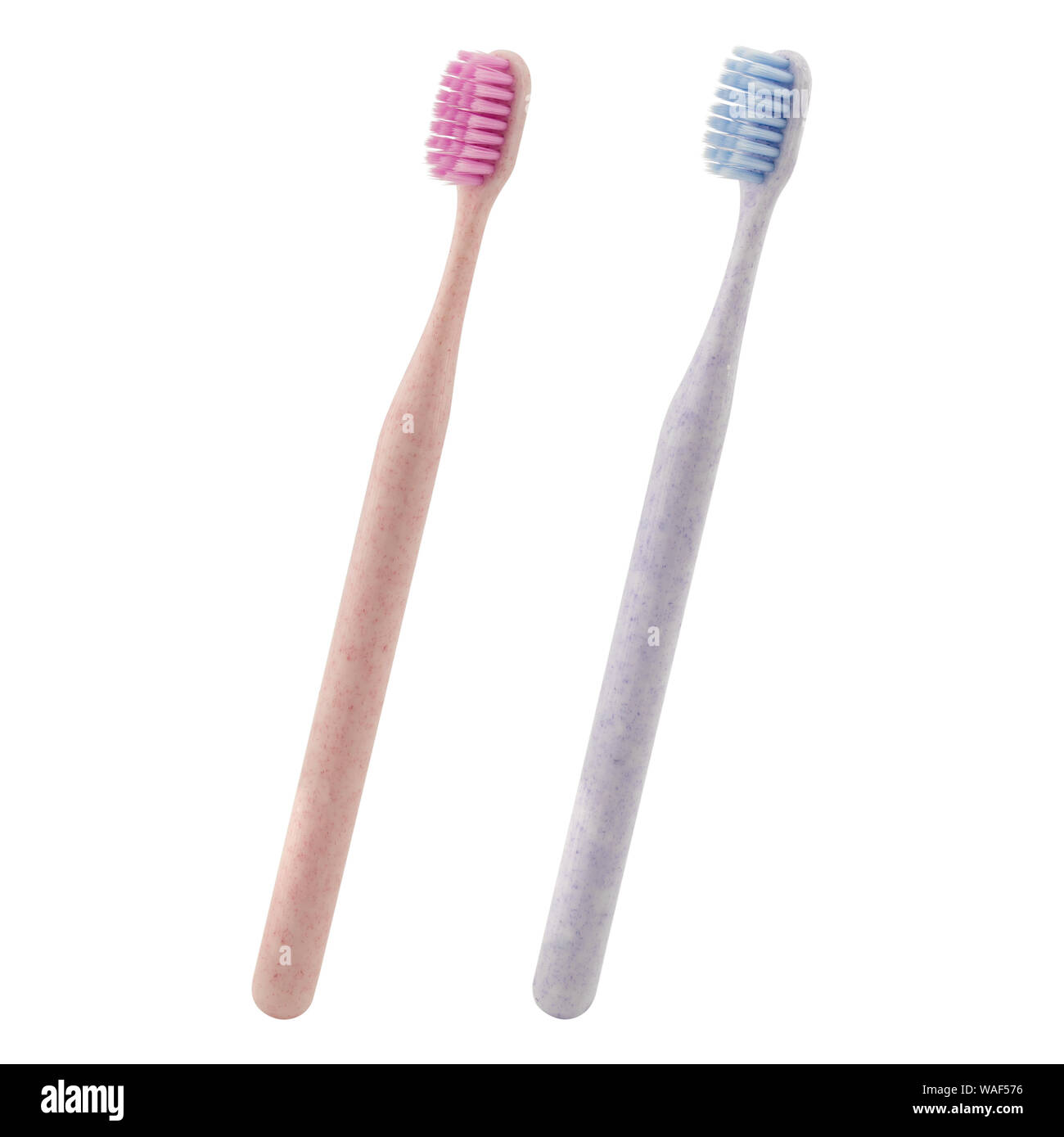 Set di spazzolino manuale isolato su sfondo bianco. Spazzolini da denti in due colori. Blu e rosa. Foto Stock