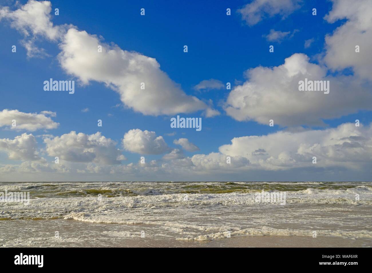 Onde sulla spiaggia sabbiosa, cielo blu con nuvole cumulus (Cumulus) oltre il mare del Nord, Kampen, Sylt, Nord Isole Frisone, Frisia settentrionale Foto Stock