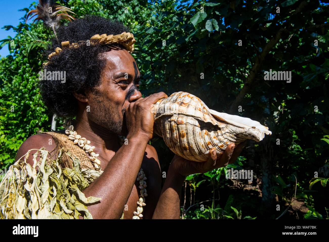 Uomo che soffia in una conchiglia gigante, Ekasup villaggio culturale, Efate, Vanuatu Foto Stock