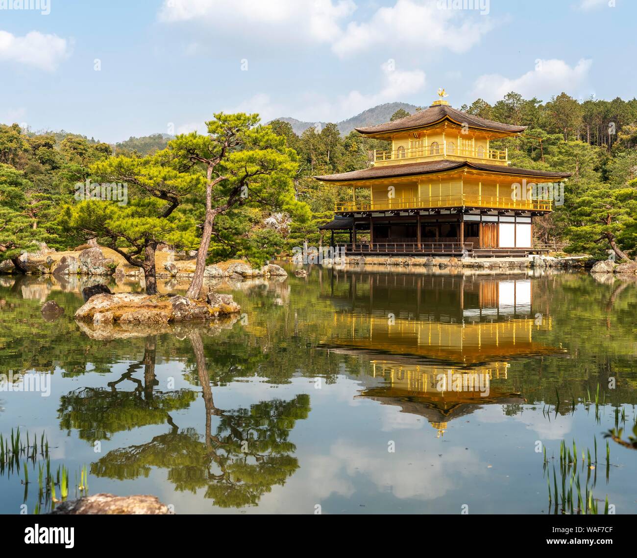 Tempio d'oro Padiglione, Kinkaku-ji, Kyoto, Giappone Foto Stock