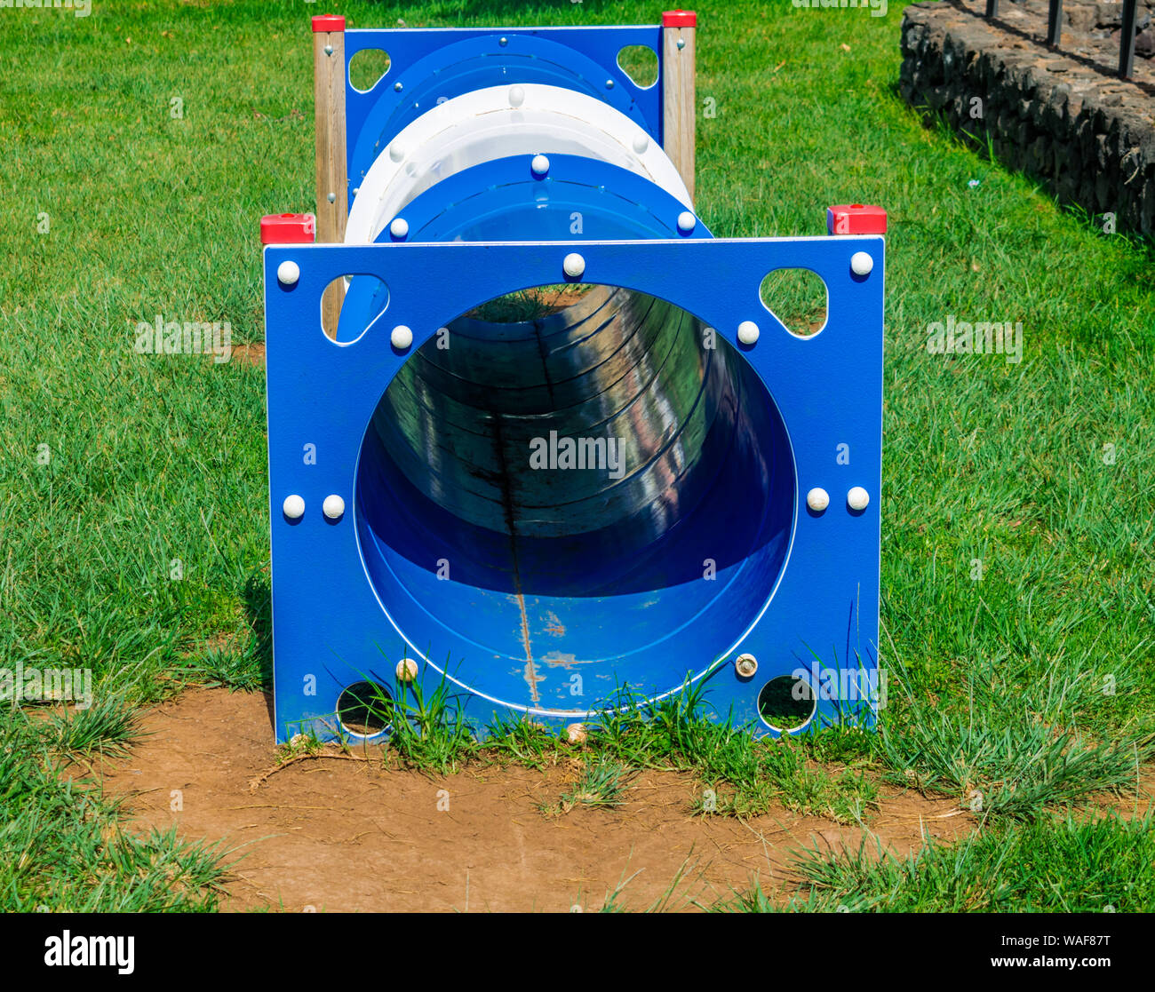 Circuito di agility tunnel blu per cani con erba e giornata di sole Foto Stock