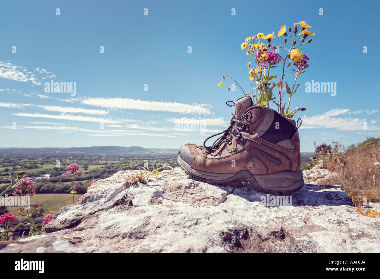 Escursionista scarpe da trekking in appoggio con fiori selvaggi su un sentiero di montagna con panorami distanti di campagna in estate sole Foto Stock