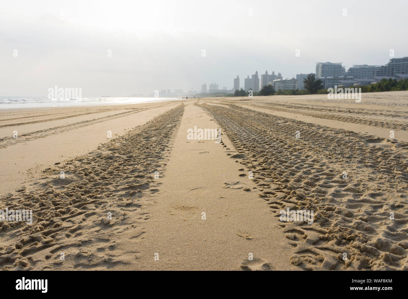 Tracce di auto su una spiaggia di sabbia fine di andare in la distanza. Cina Hainan Foto Stock