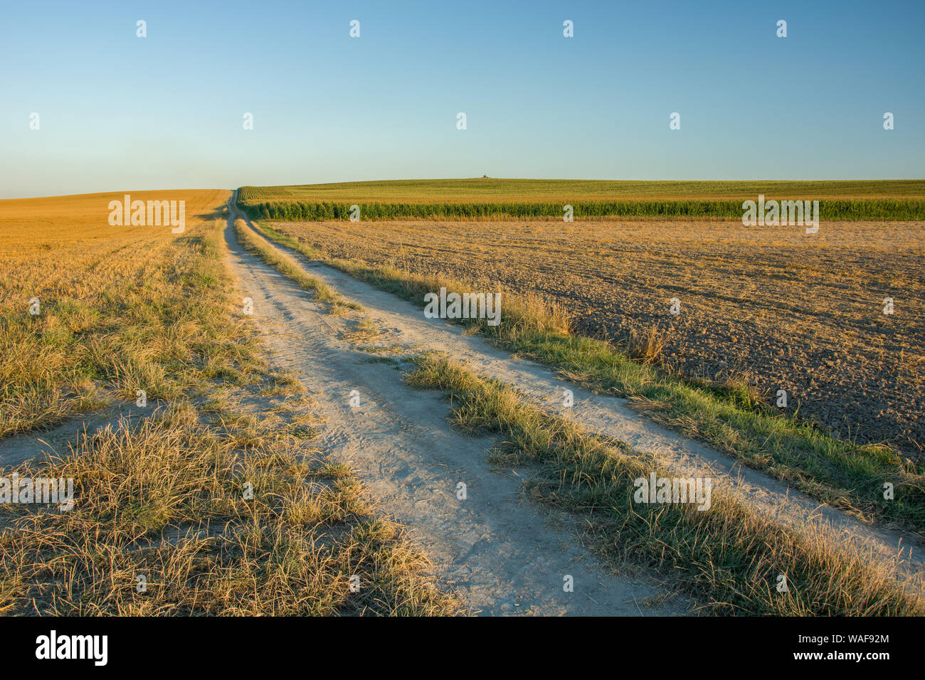 Strada sterrata attraverso i campi, i trend con orizzonte di riferimento e sky Foto Stock