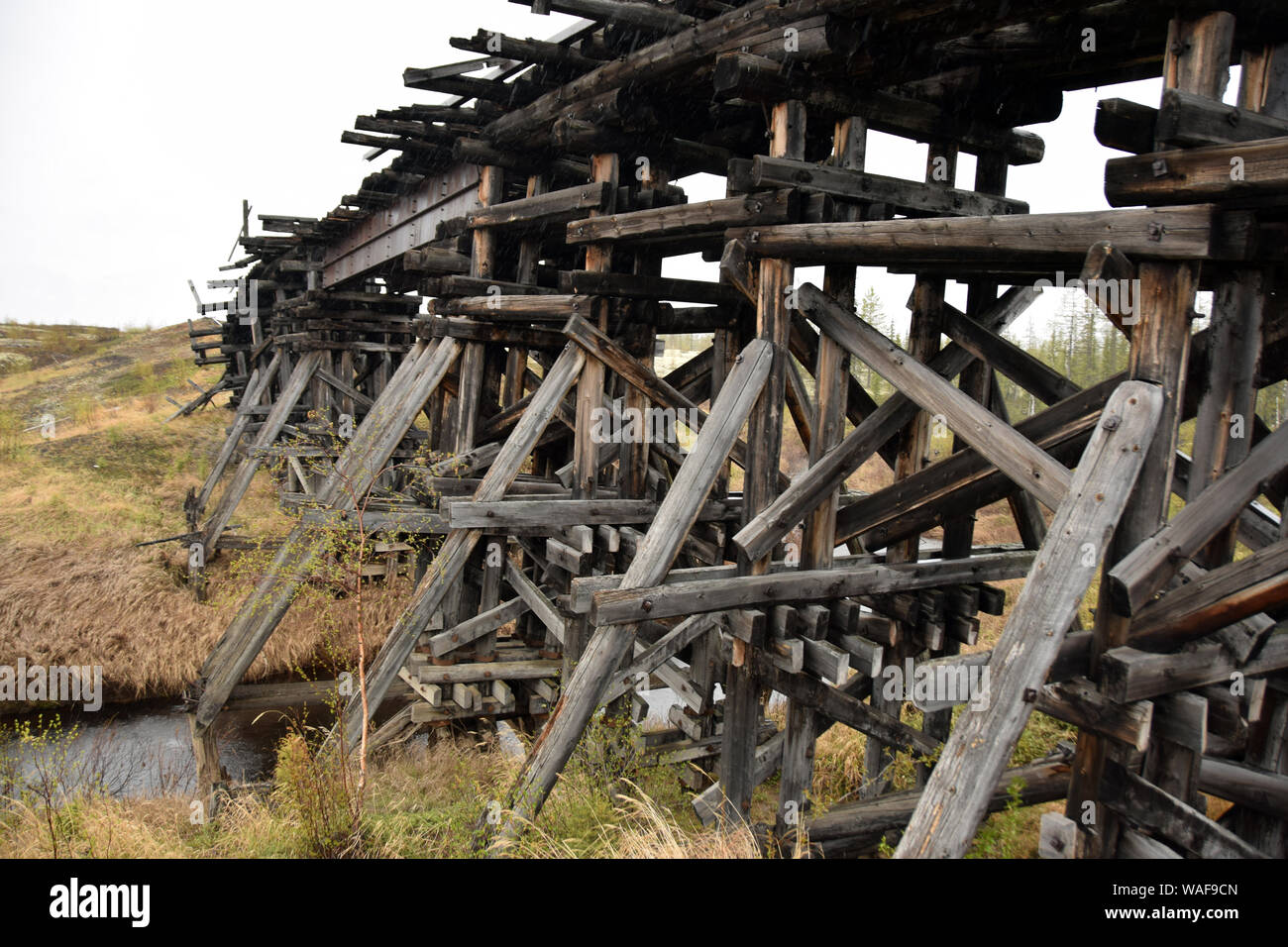 Un ponte ferroviario. I resti del 'Dead" la strada costruita dagli operai schiavi del sistema di Gulag tra il 1949 e il 1953. Questa linea ferroviaria collega la città di Salekhard e Nadym nella Yamalo-Nenets Regione autonoma. È stato un quasi tecnicamente impossibile progetto iniziato da Stalin e arrestato dalle autorità sovietiche immediatamente dopo la morte del dittatore. Foto Stock