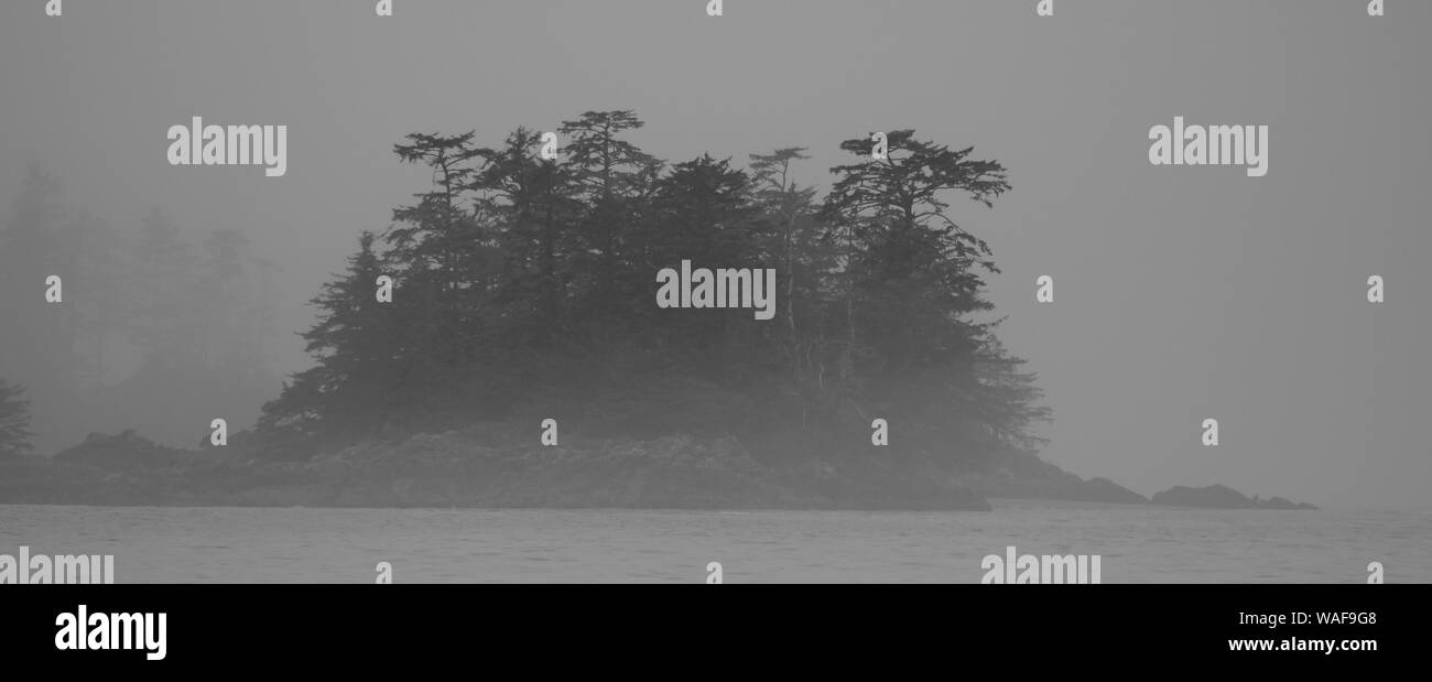 Isola di Cox Bay nella nebbia, Isola di Vancouver, British Columbia, Canada Foto Stock