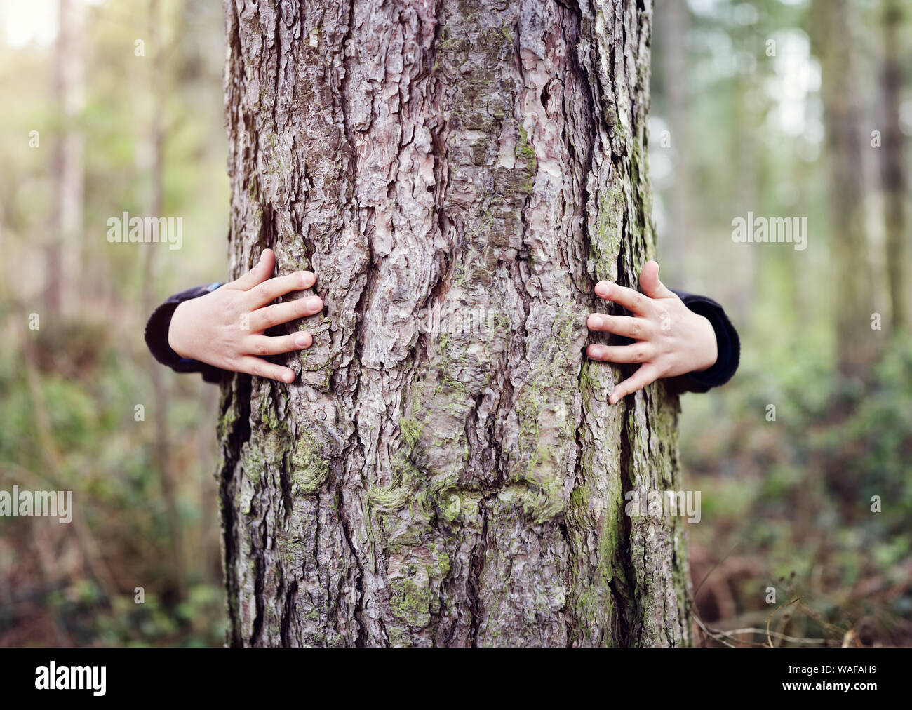 Tree abbracciava, Little Boy dando un albero un abbraccio il concetto di amore per la natura Foto Stock