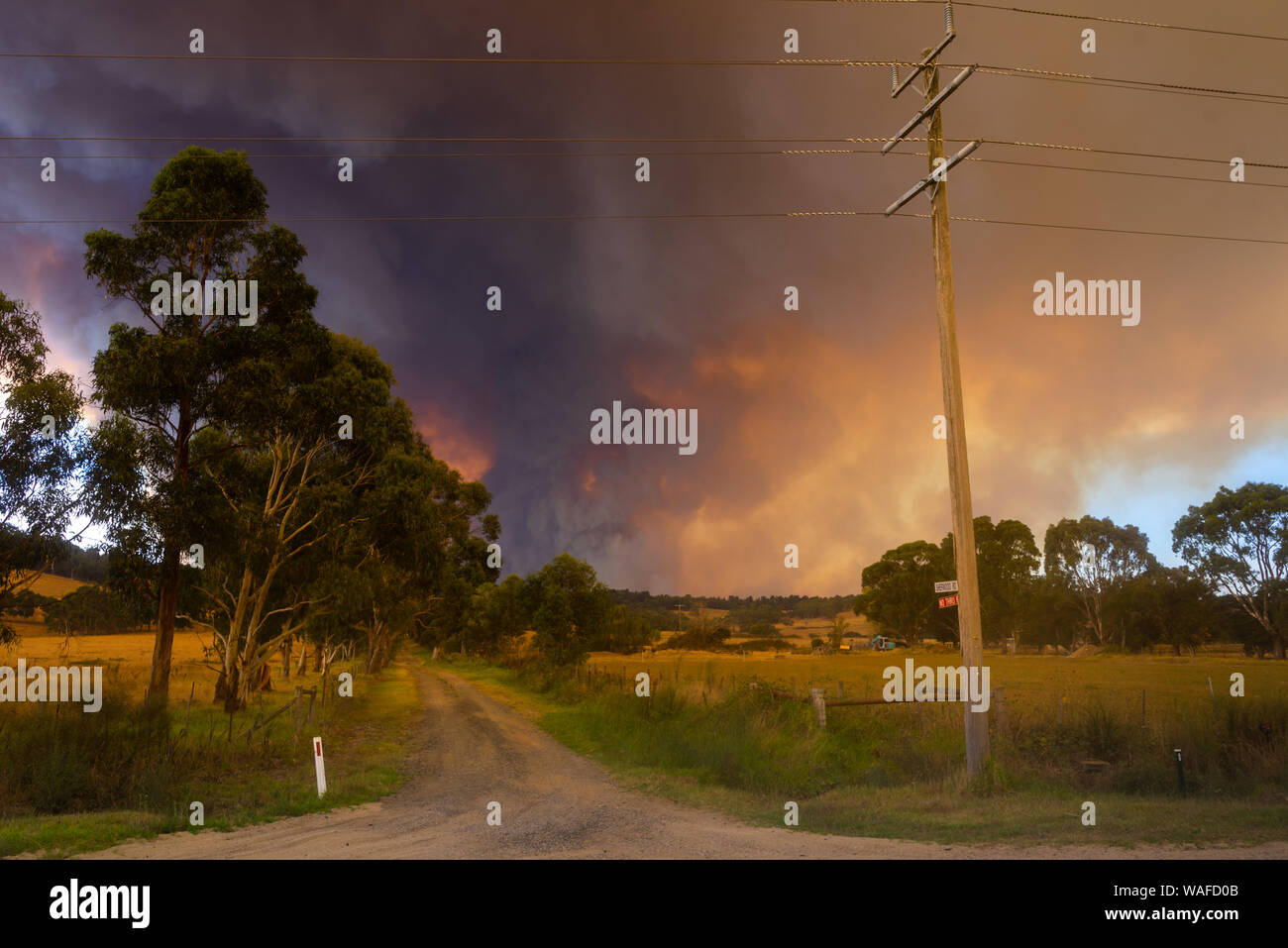 Bush fuoco, fumo e masterizzazione di erba, in Tynong, Victoria, Australia Foto Stock