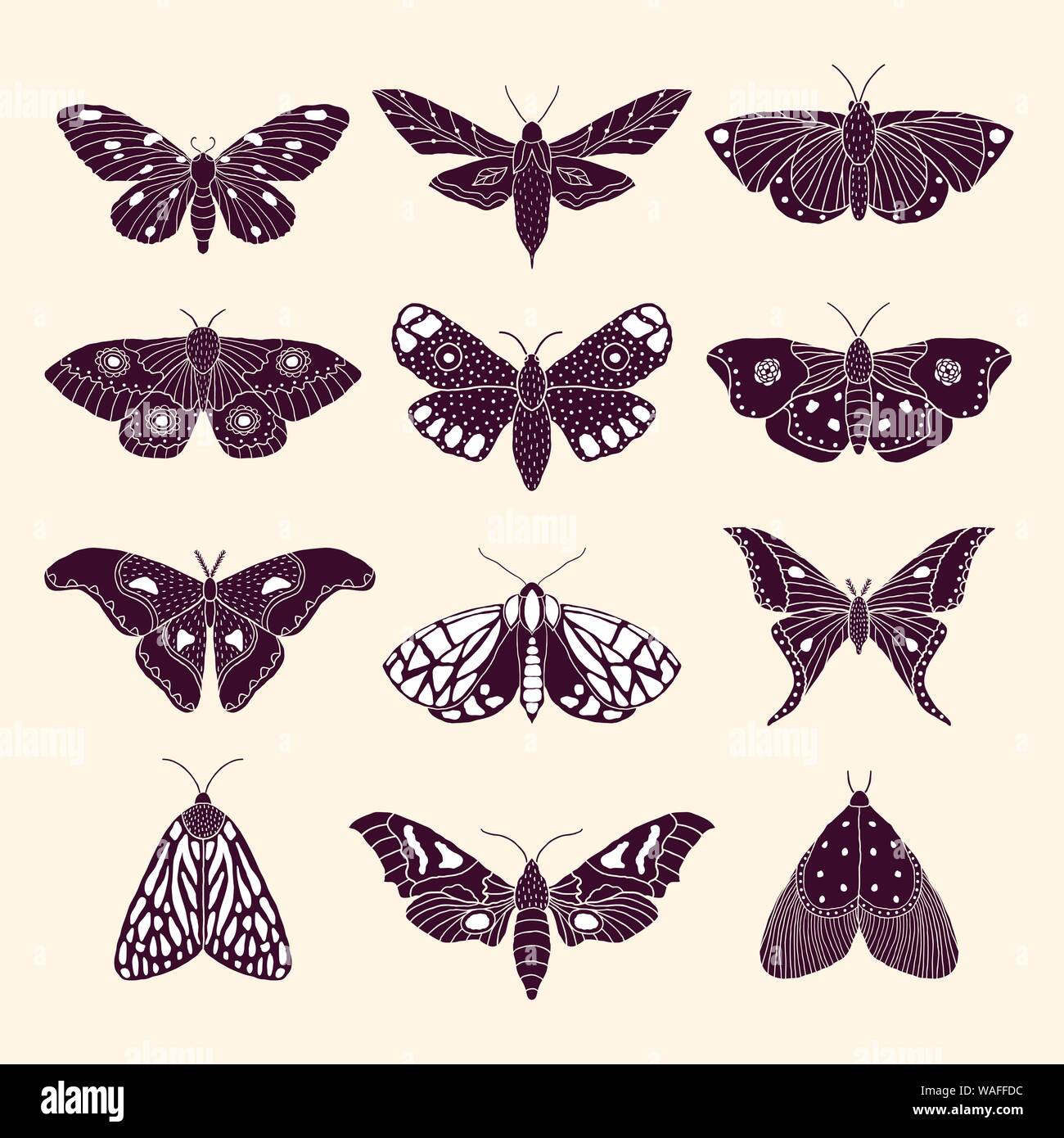 Set di disegnato a mano le tarme e le farfalle in stile doodle Illustrazione Vettoriale