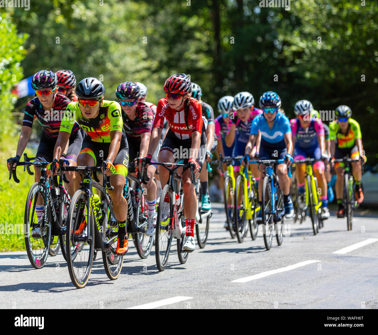 Bosdarros, Francia - 19 Luglio 2019: Il femminile peloton cavalcare in Bosdarros durante la rotta da Le Tour de France 2019 Foto Stock